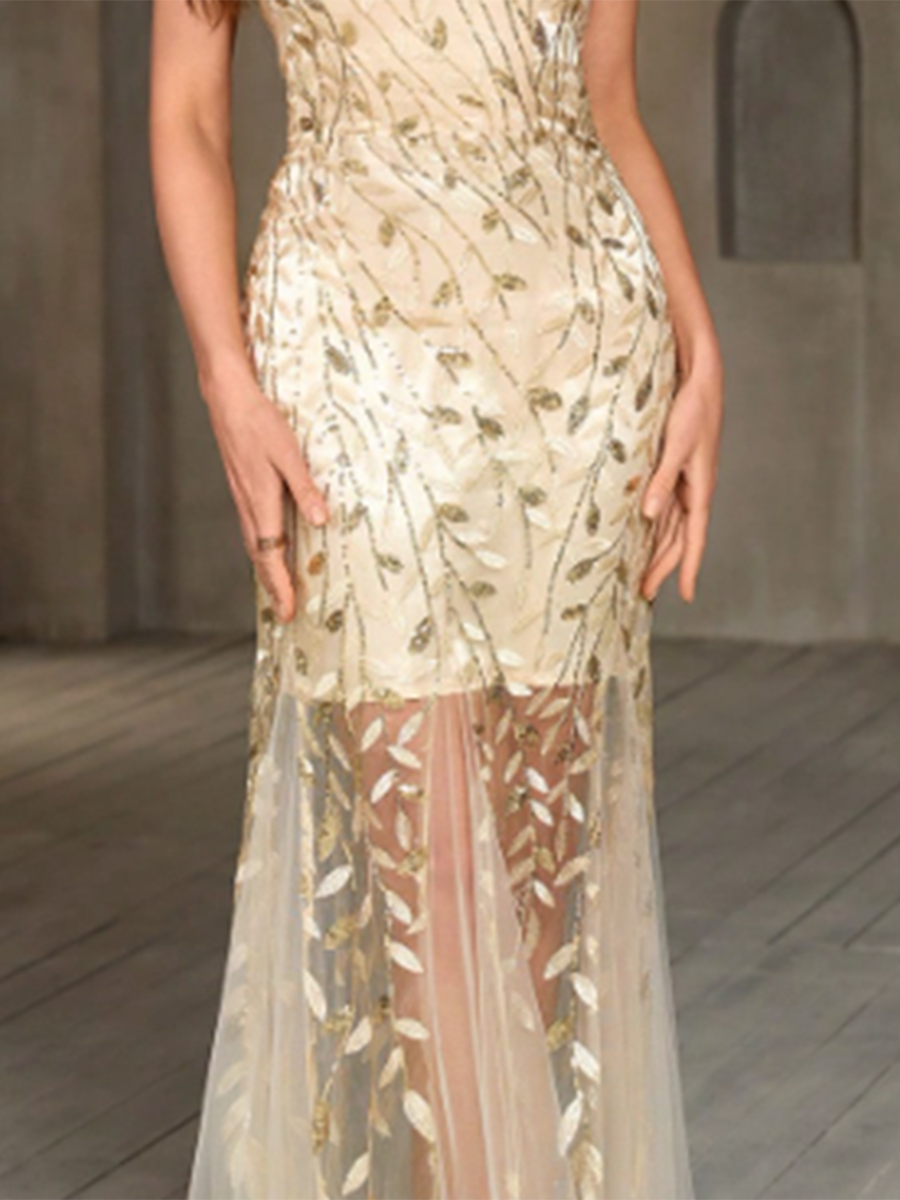 Women's Mesh Embroidered V-Neck Sleeveless Fitted Maxi Dress MDA1815F1Y